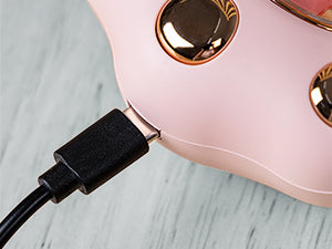 Eco-Friendly Cat Paw Hand Warmer: USB, Reusable & Long-Lasting